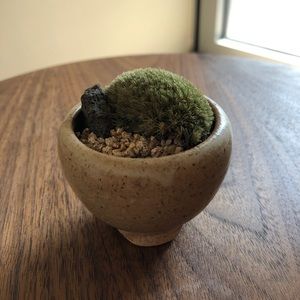 Meet your Posher, Sungeun